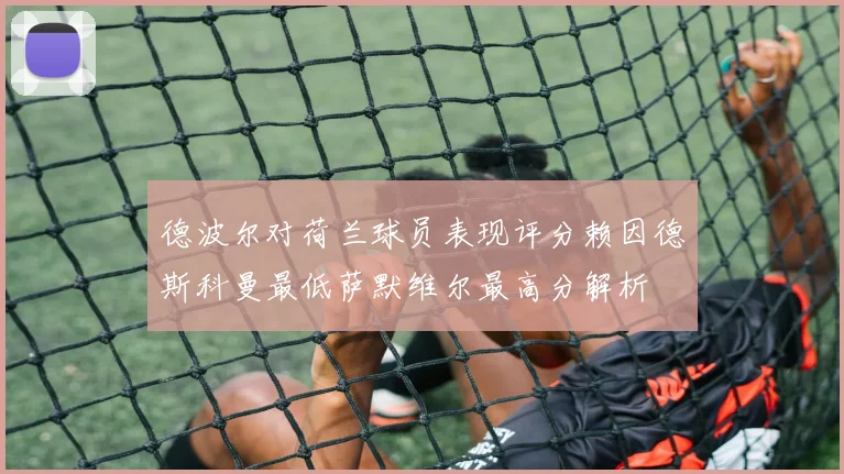 德波尔对荷兰球员表现评分赖因德斯科曼最低萨默维尔最高分解析